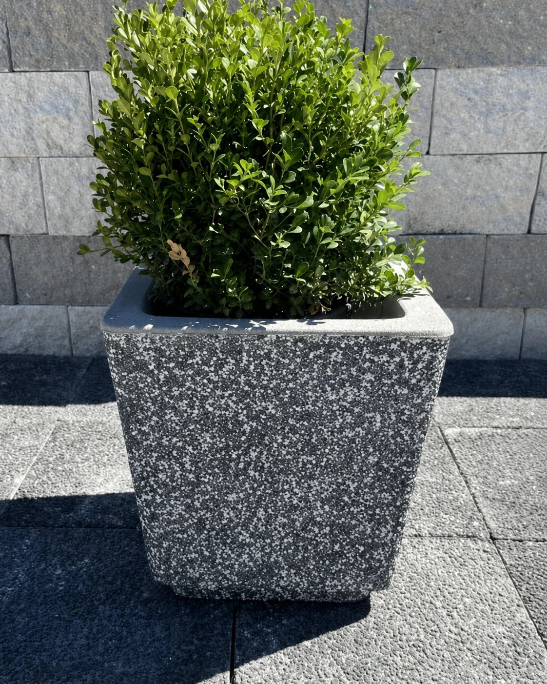 betonciceklik