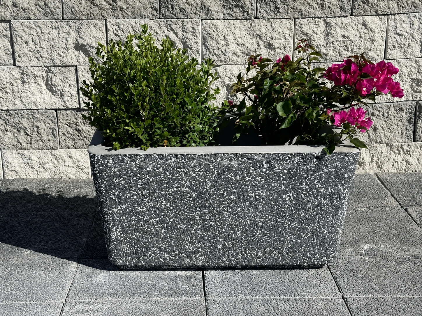 betonciceklik